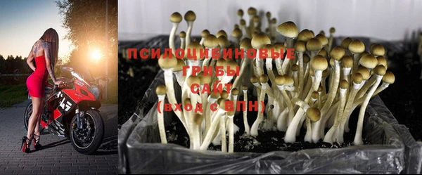 гашишное масло Алзамай