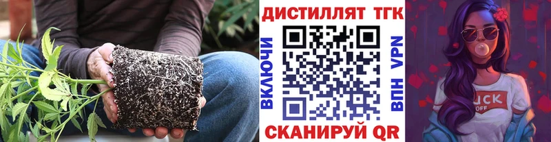 наркота  Гурьевск  Дистиллят ТГК вейп 